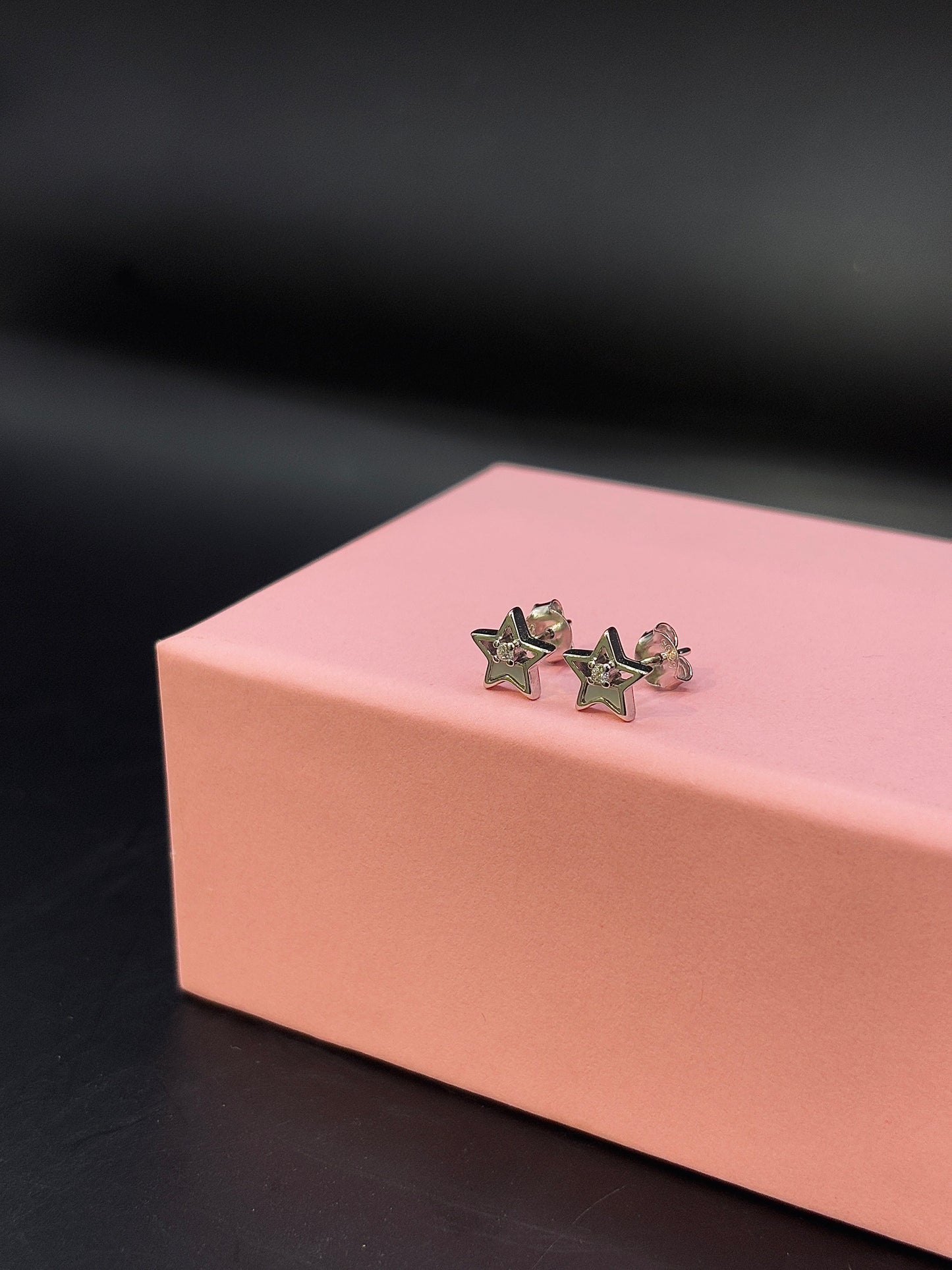 Stella Mini Silver Stud in Silver TISA Silver Elegance